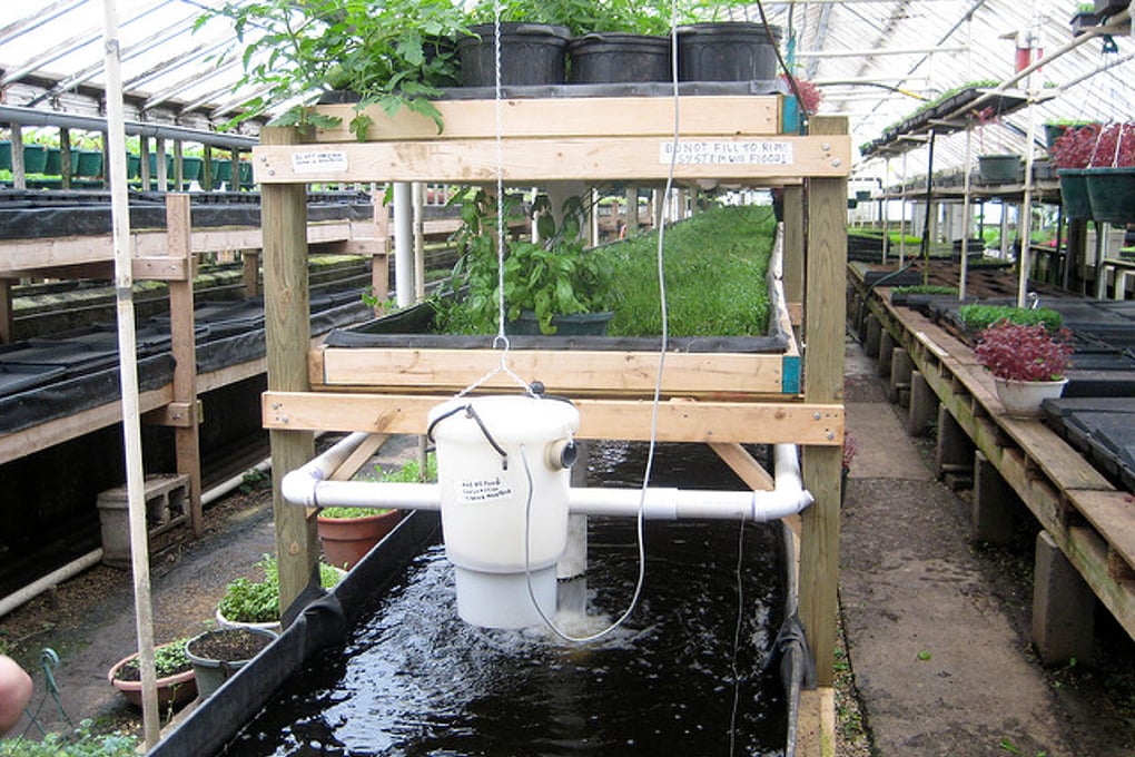 aquaponics feature