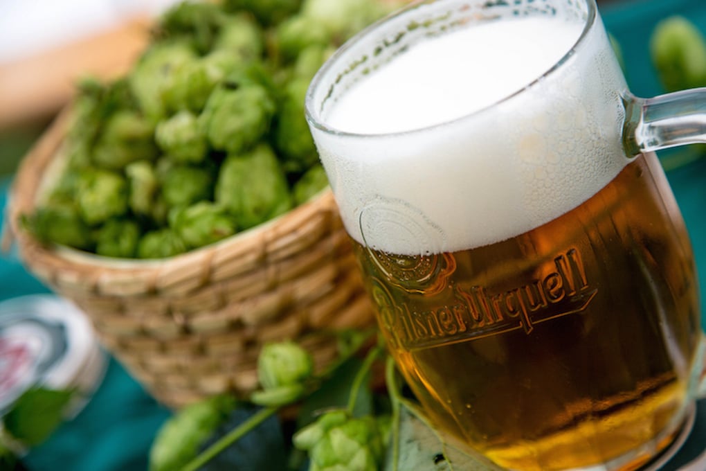 beer mug