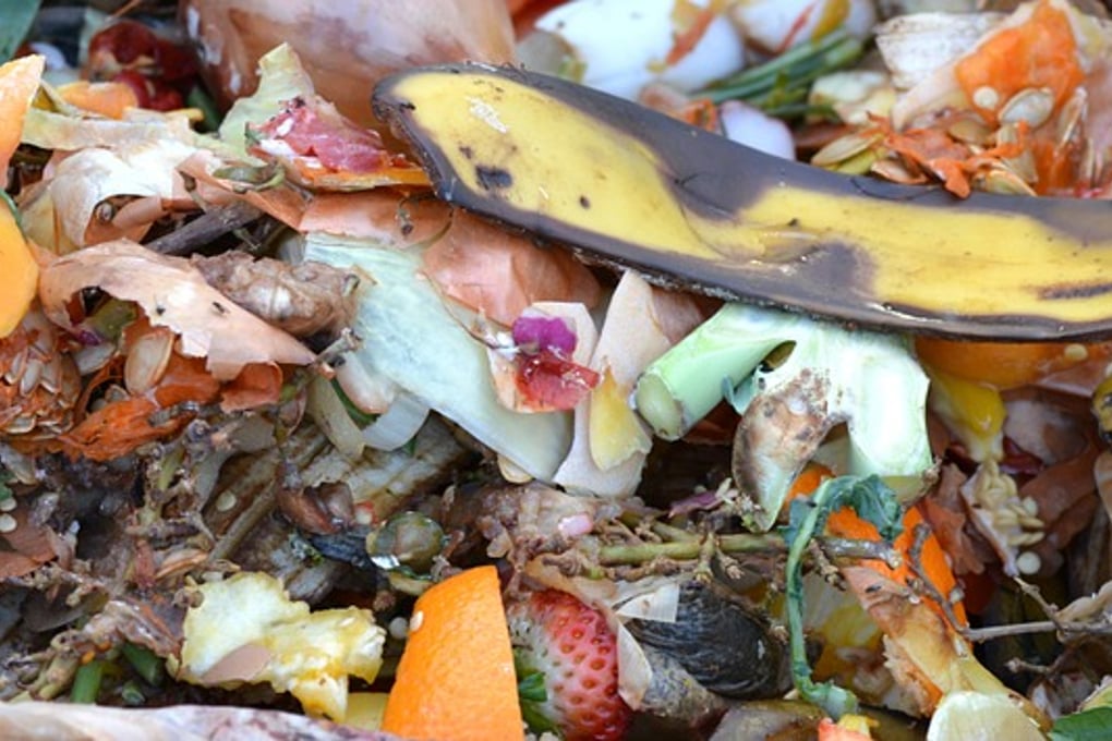 compost 4