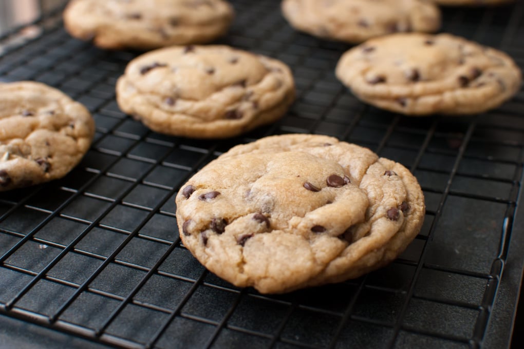 chocolate chip cookie