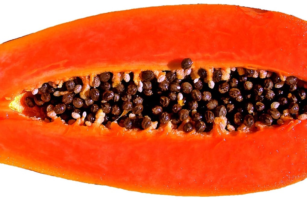 papaya 659210 1280