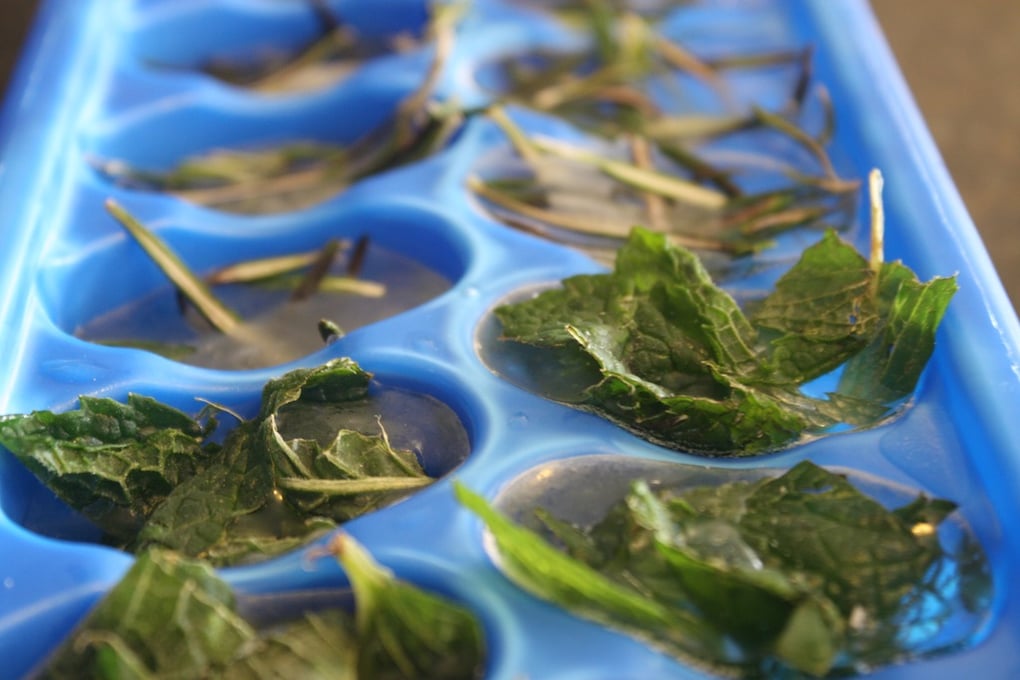 Storing Herbs 19