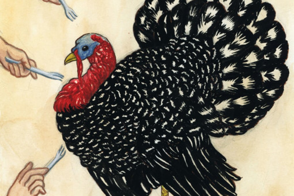 Article 7 Illustration scaled