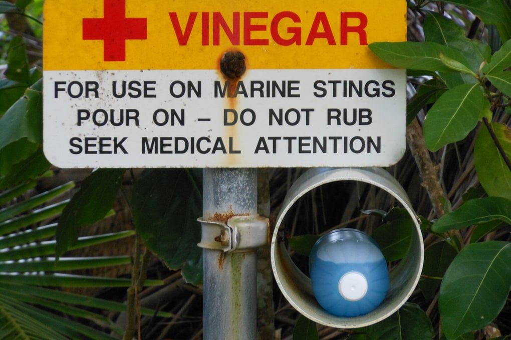 vinegar