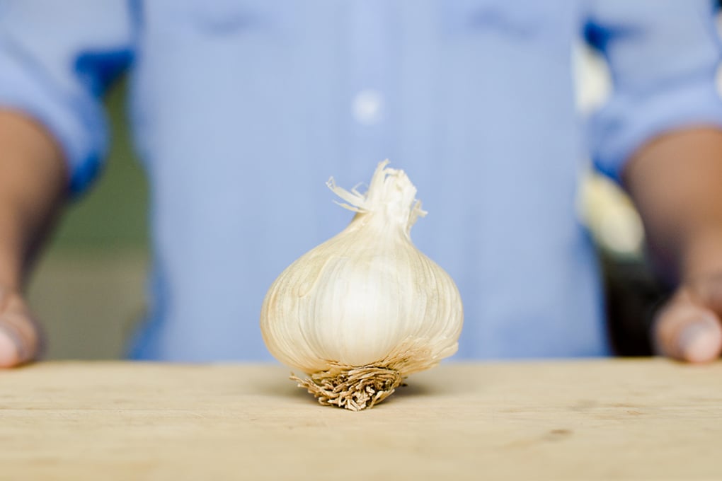 garlic1