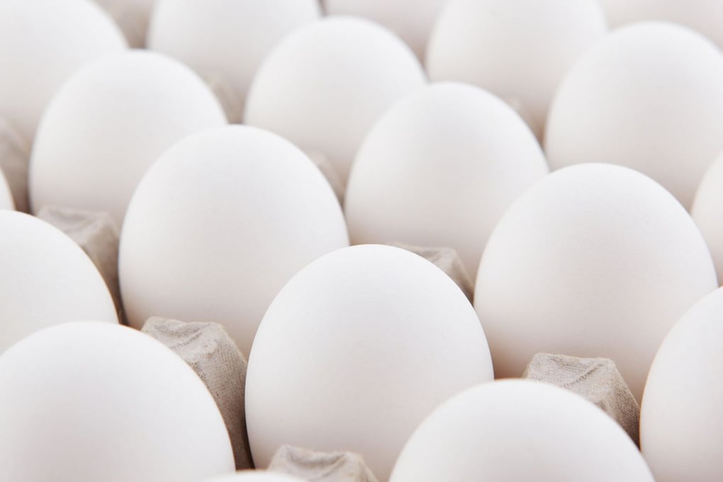 white eggs japan.0.0