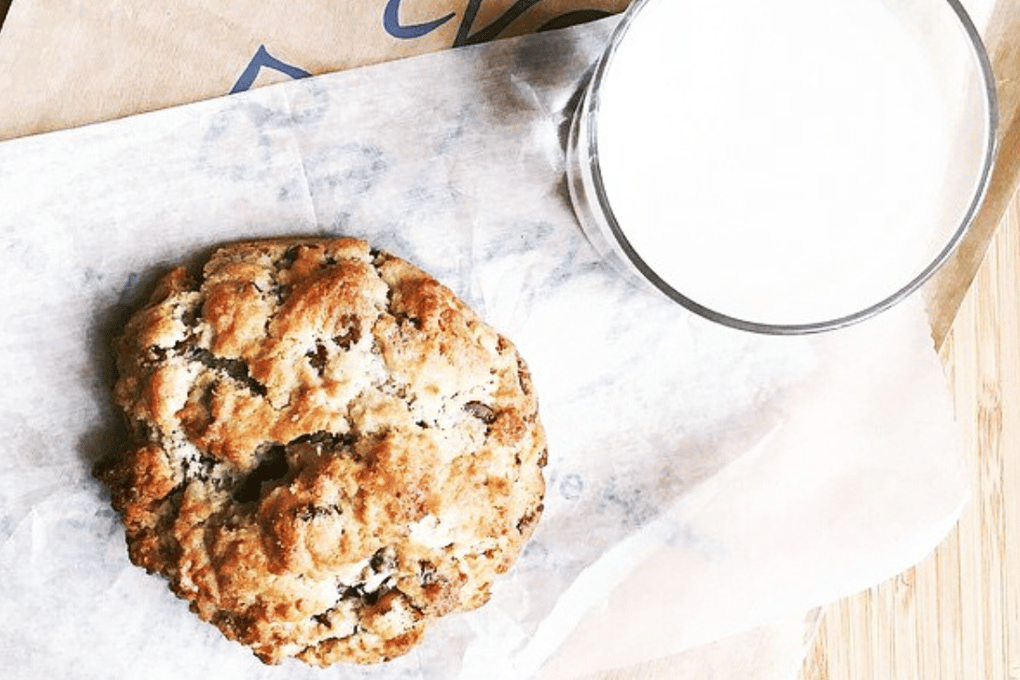 Levain Article