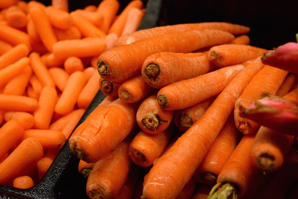 Carrot Variety Linzie Gienau