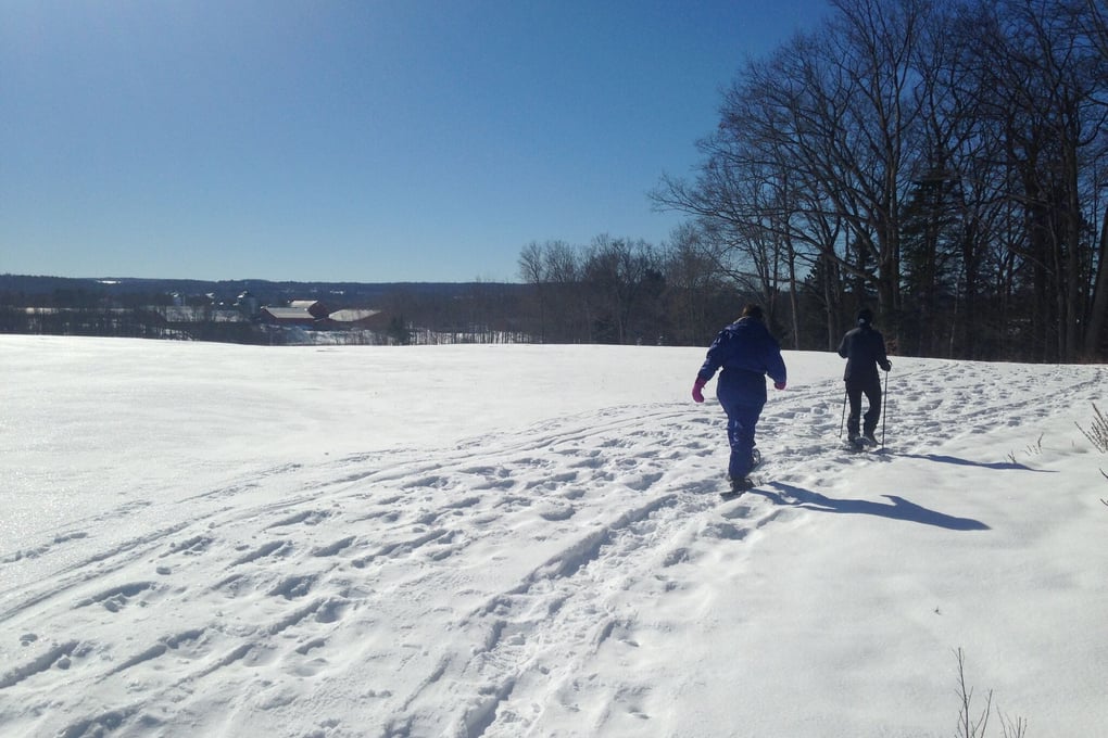 snowshoe3
