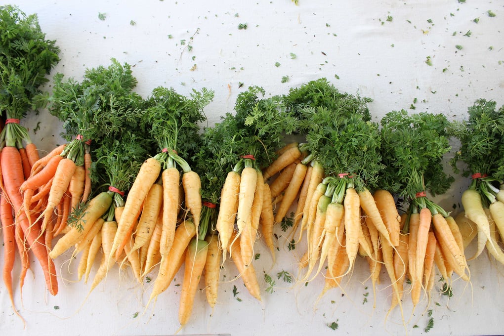 FM carrots 3