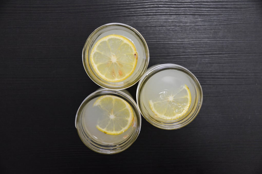 lemonade 6 jocelyn hsu