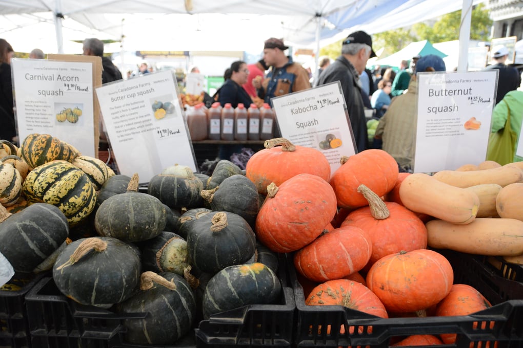 squash farmers market denise uy