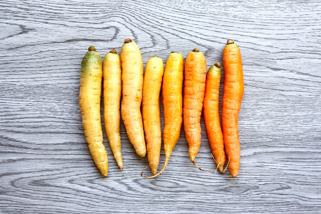 carrots 4 christin urso
