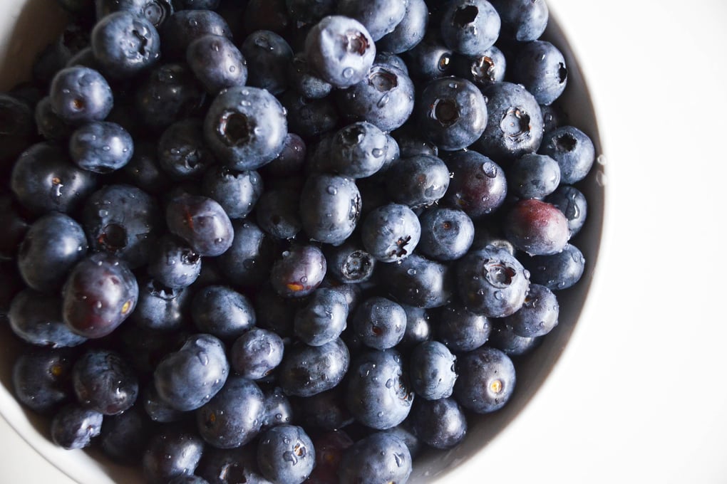 blueberries %282%29 jocelyn hsu