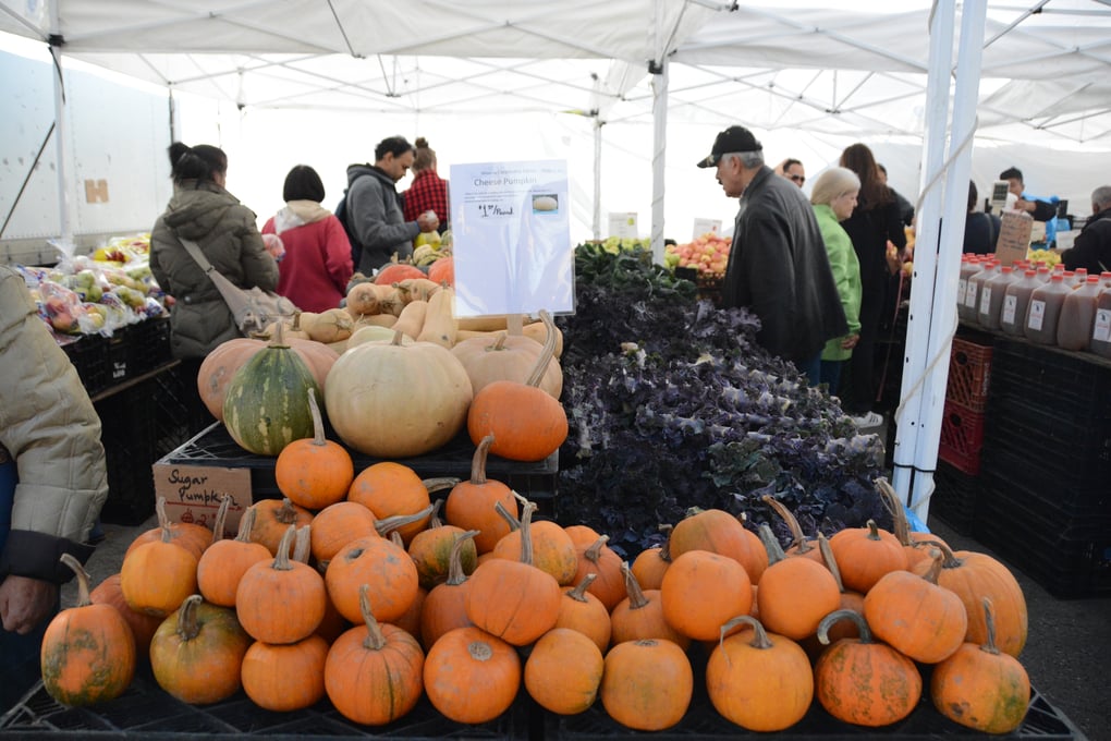 pumpkin farmers market denise uy