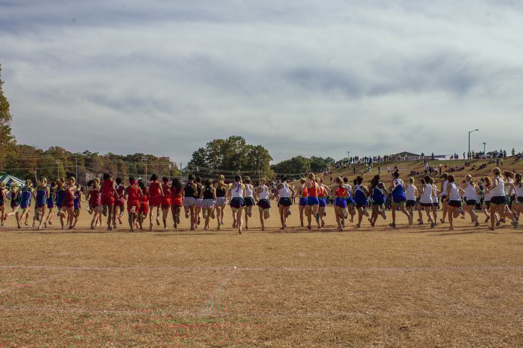 sports cross country line of runners