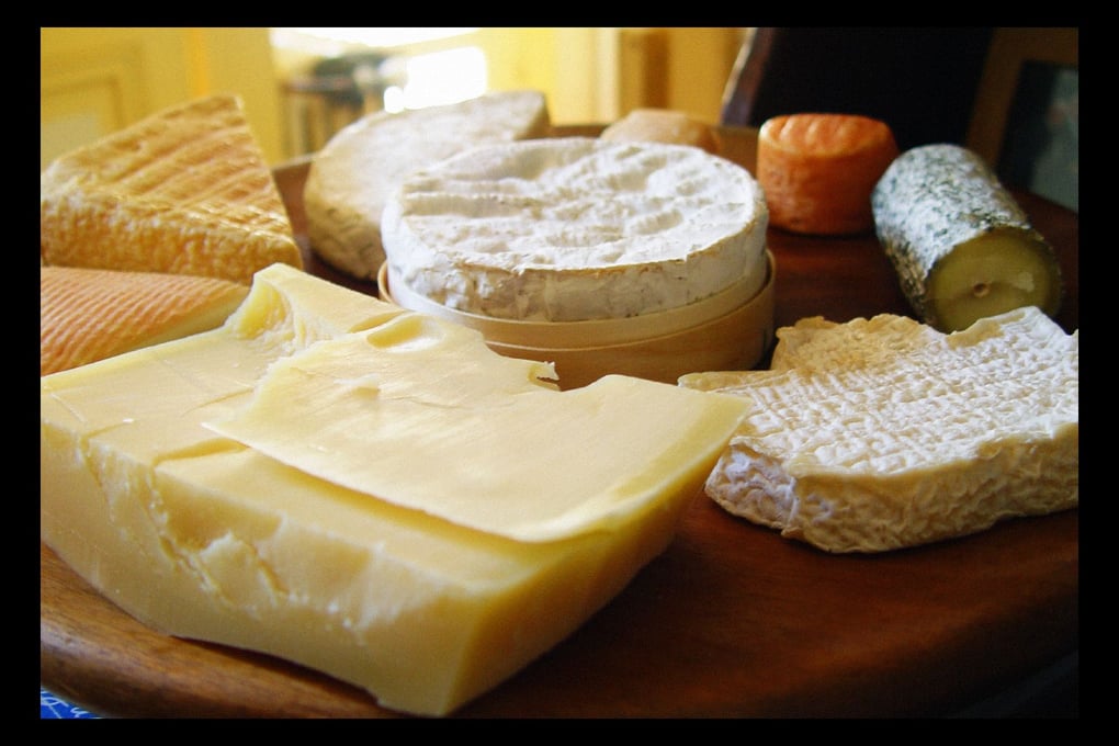 Delicious Cheese