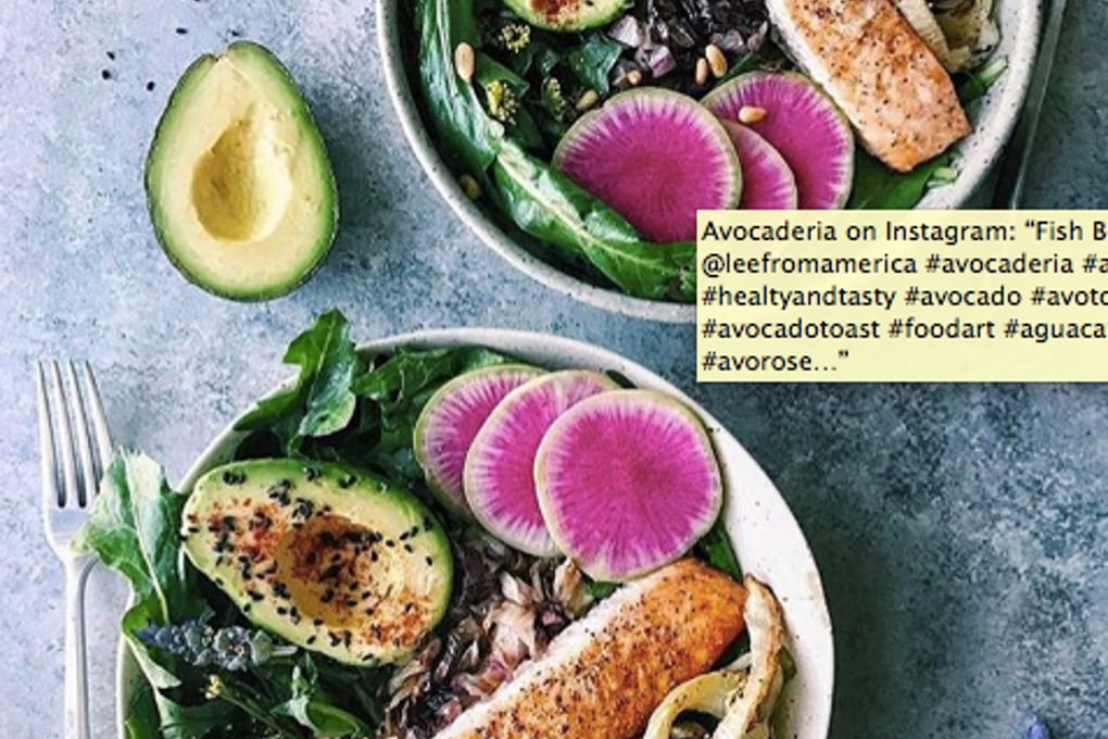 Avocaderia