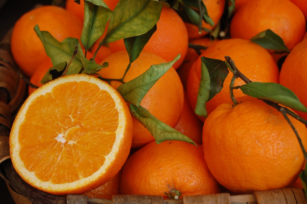 orange ameliahitchens %284%29