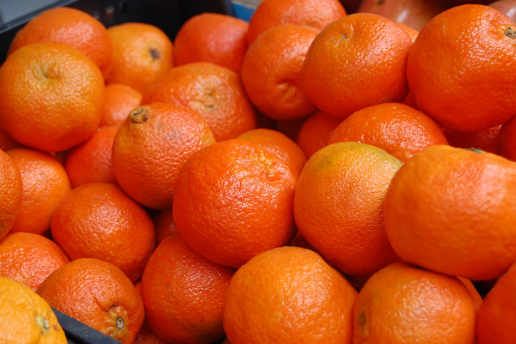 oranges amelia hitchens