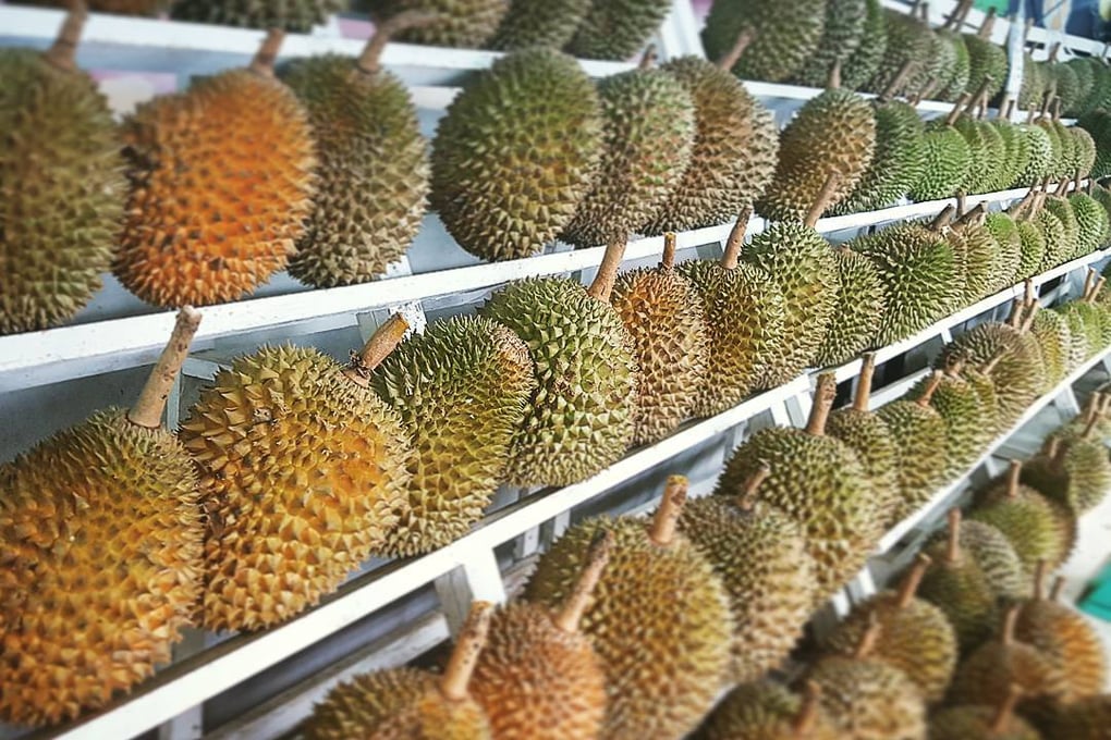 durian