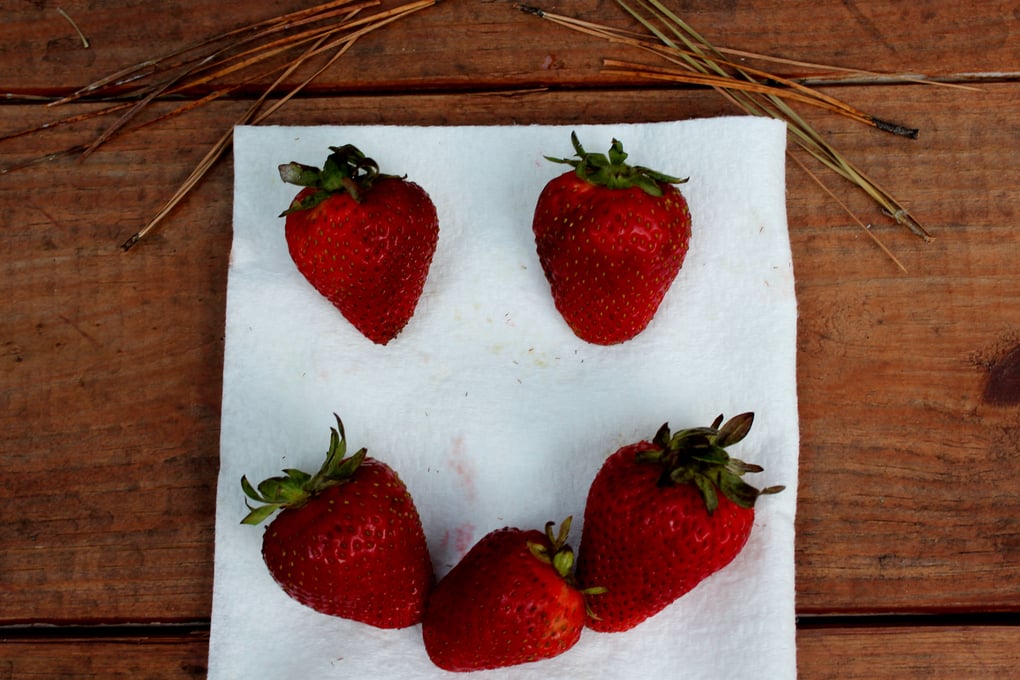 happy berry