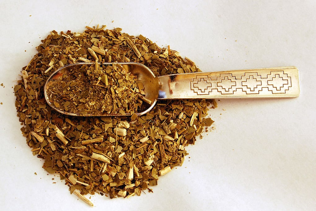 Yerba mate