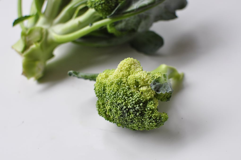 broccoli 1 jenny georgieva