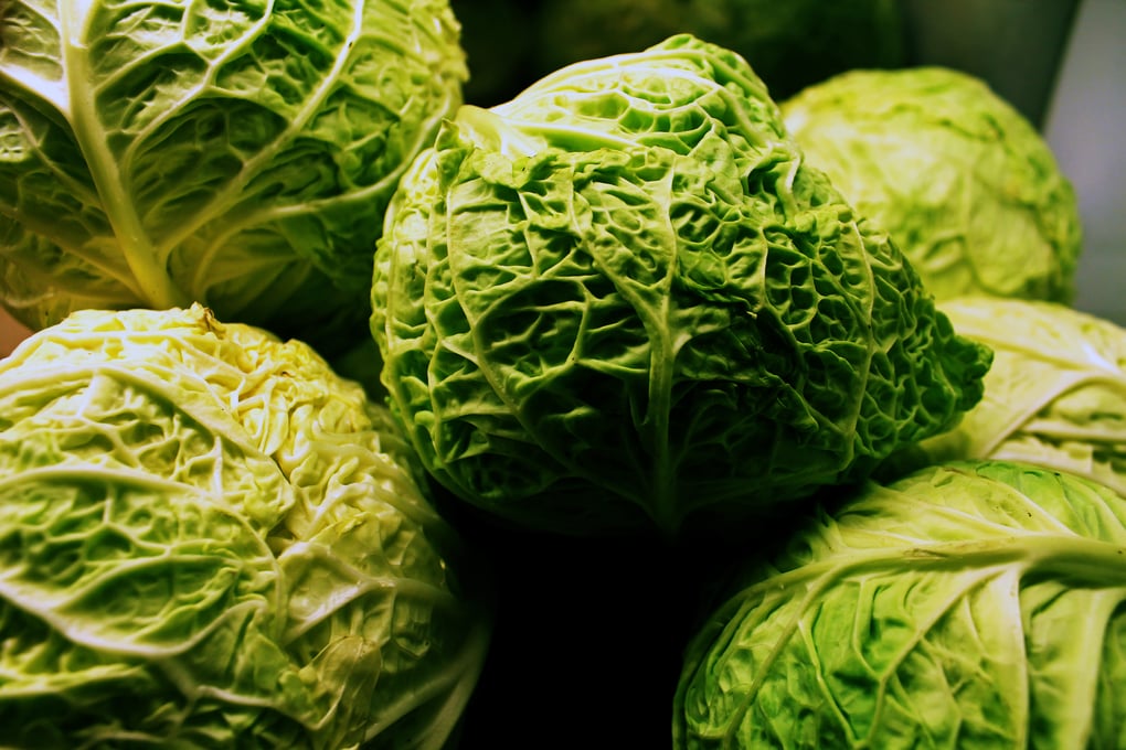 CabbageFC