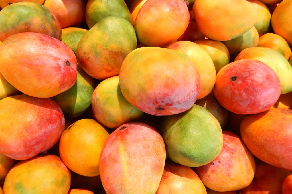 mango at the market 506813675 587e60f53df78c17b6967f5e
