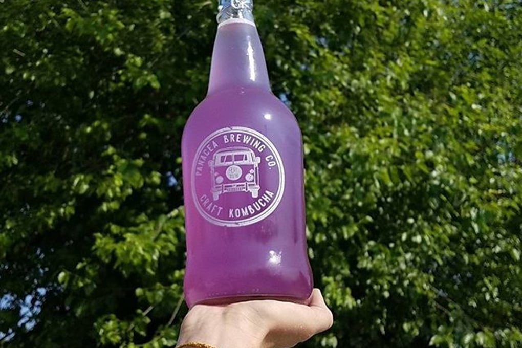 Kombucha