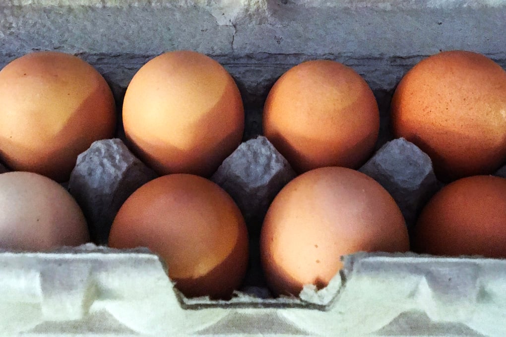 Eggs2