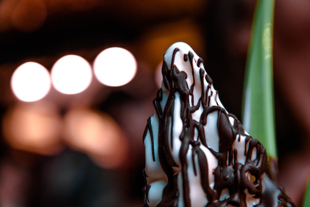 blur chocolate close up 325546