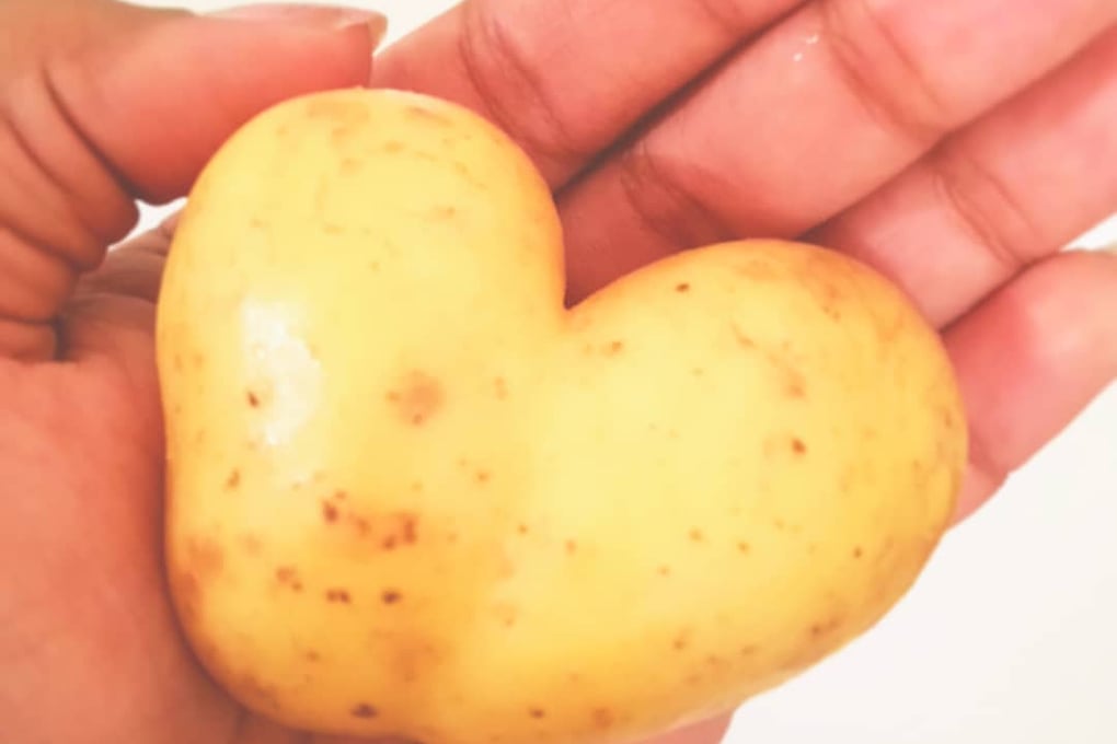 potato