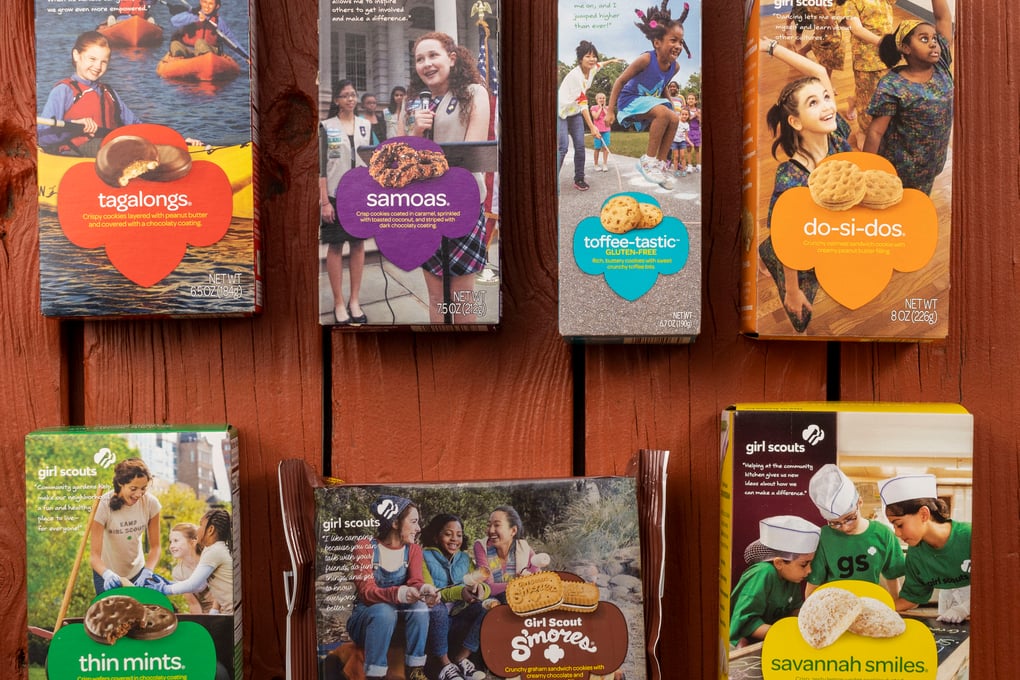 girlscoutb2