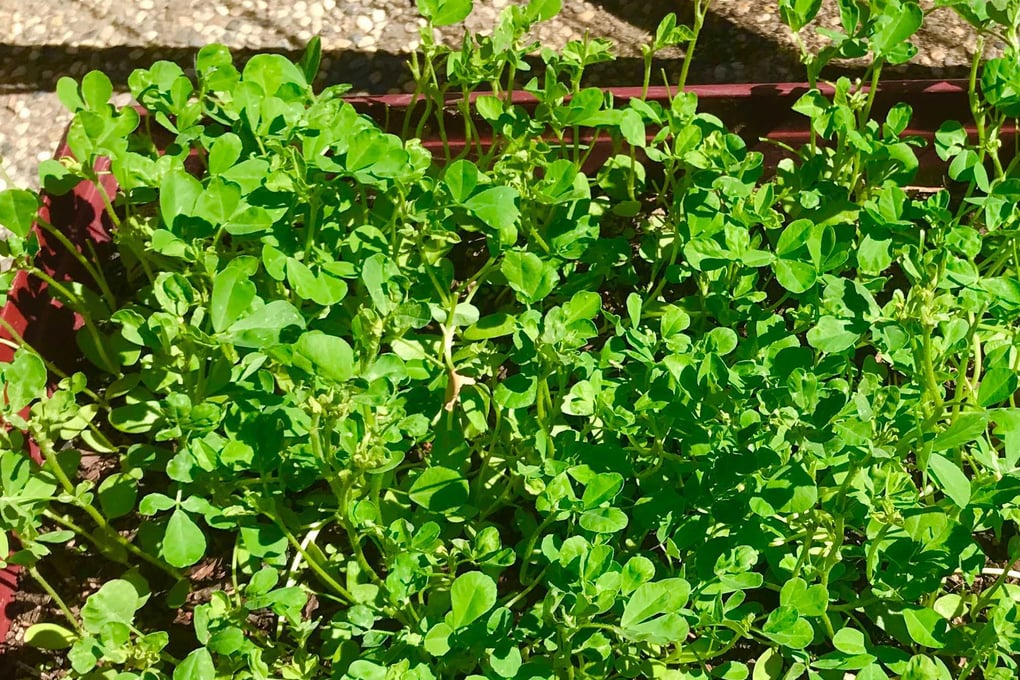 Image from iOS %281%29
