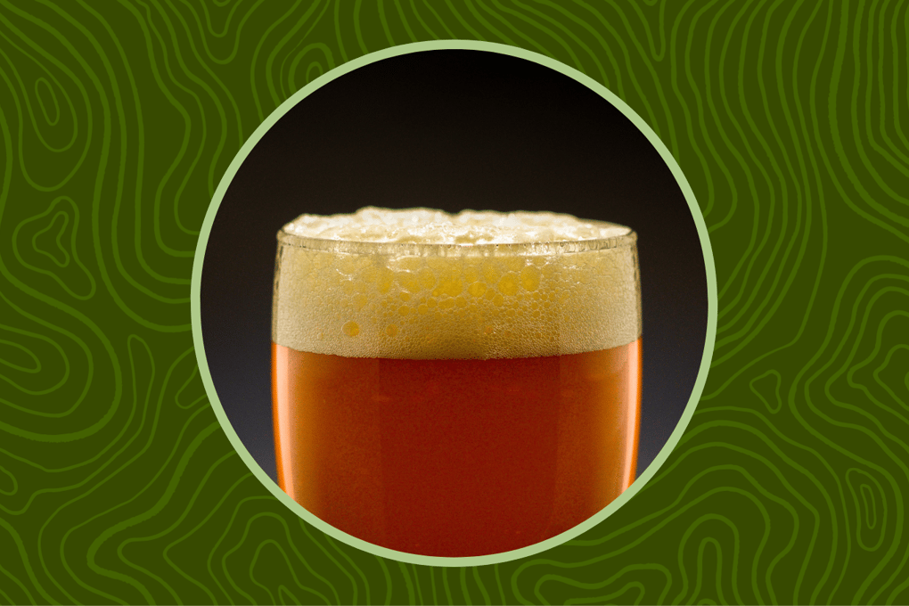 Elon Beer