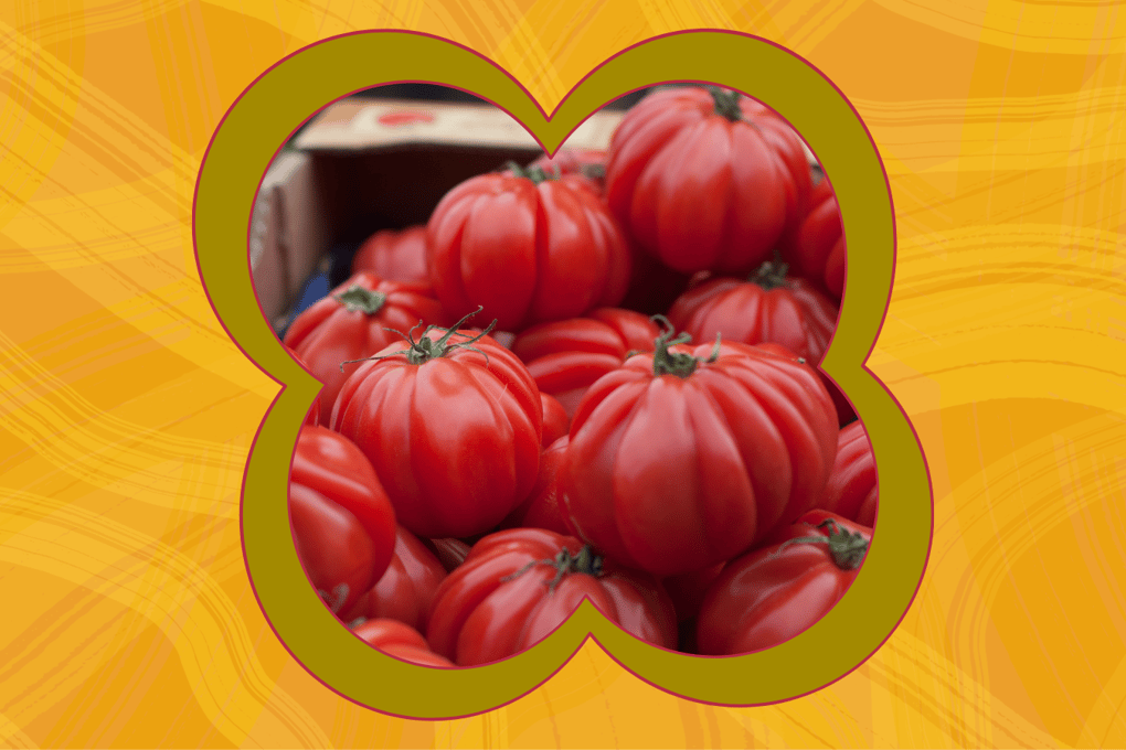 tomato sammich