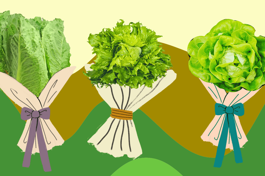 lettucebouquets