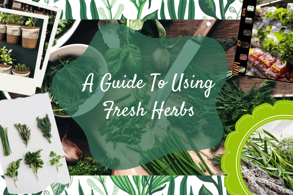guide to herbs