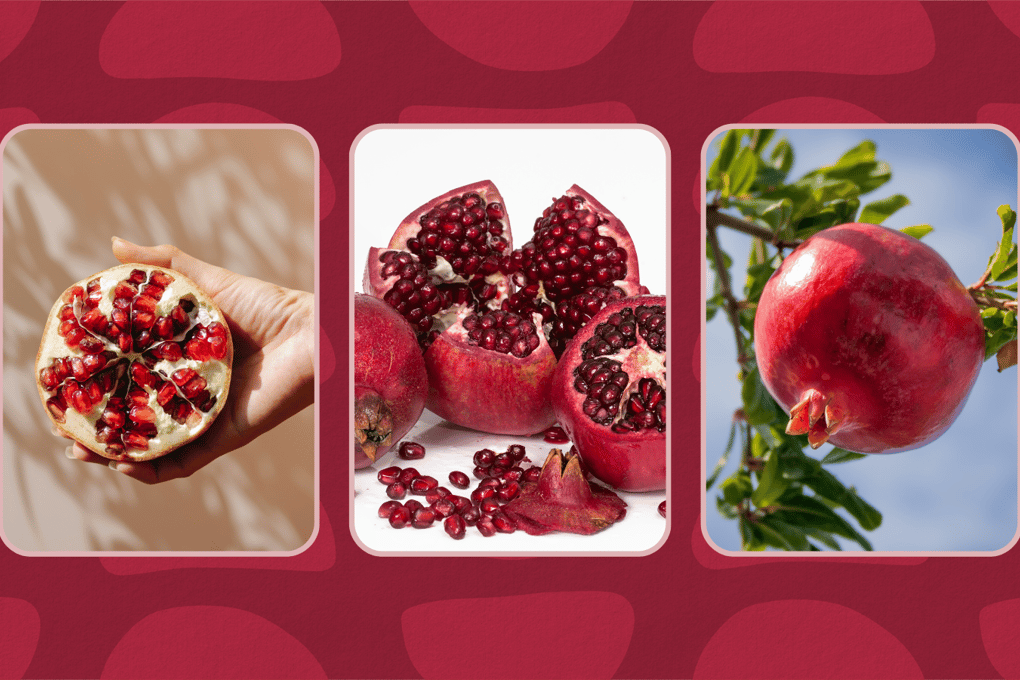pomegranate cutting