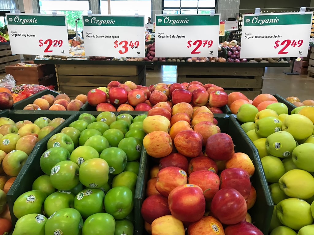 Organic Large Gala Apple - Each, Large/ 1 Count - Kroger