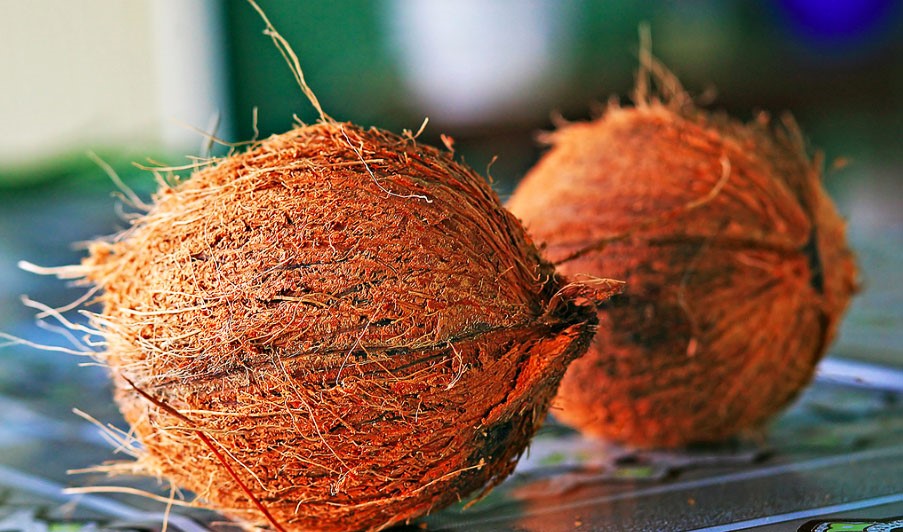 A Quick and Dirty Guide to Common and Popular Milk Alternatives