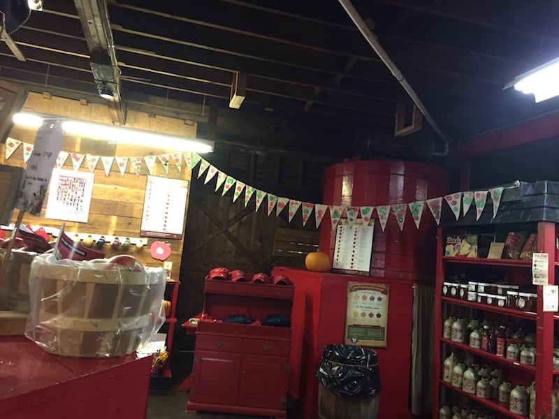 I Visited an Apple Cider Mill to See How It Gets Made