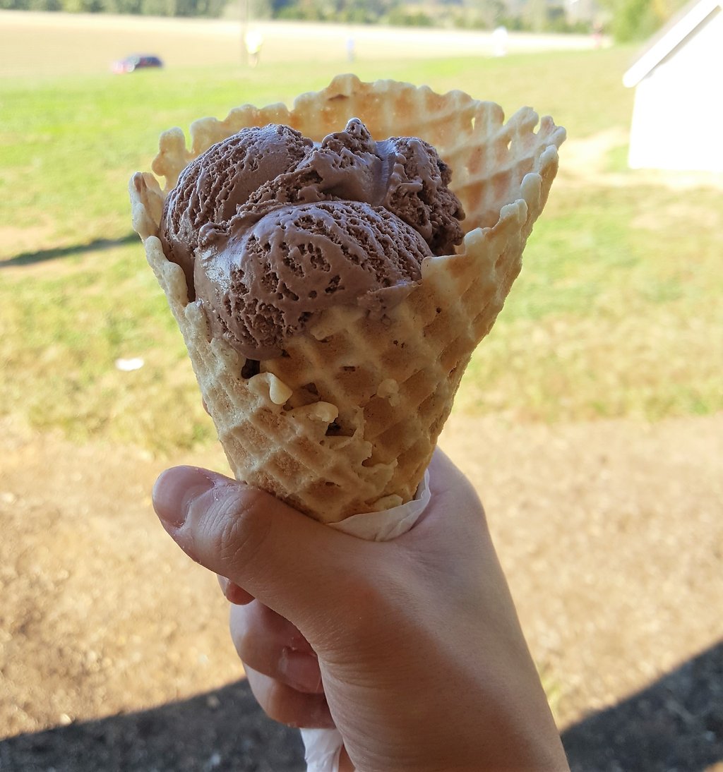 A Definitive Ranking of Maple View Ice Cream's Fall Flavors