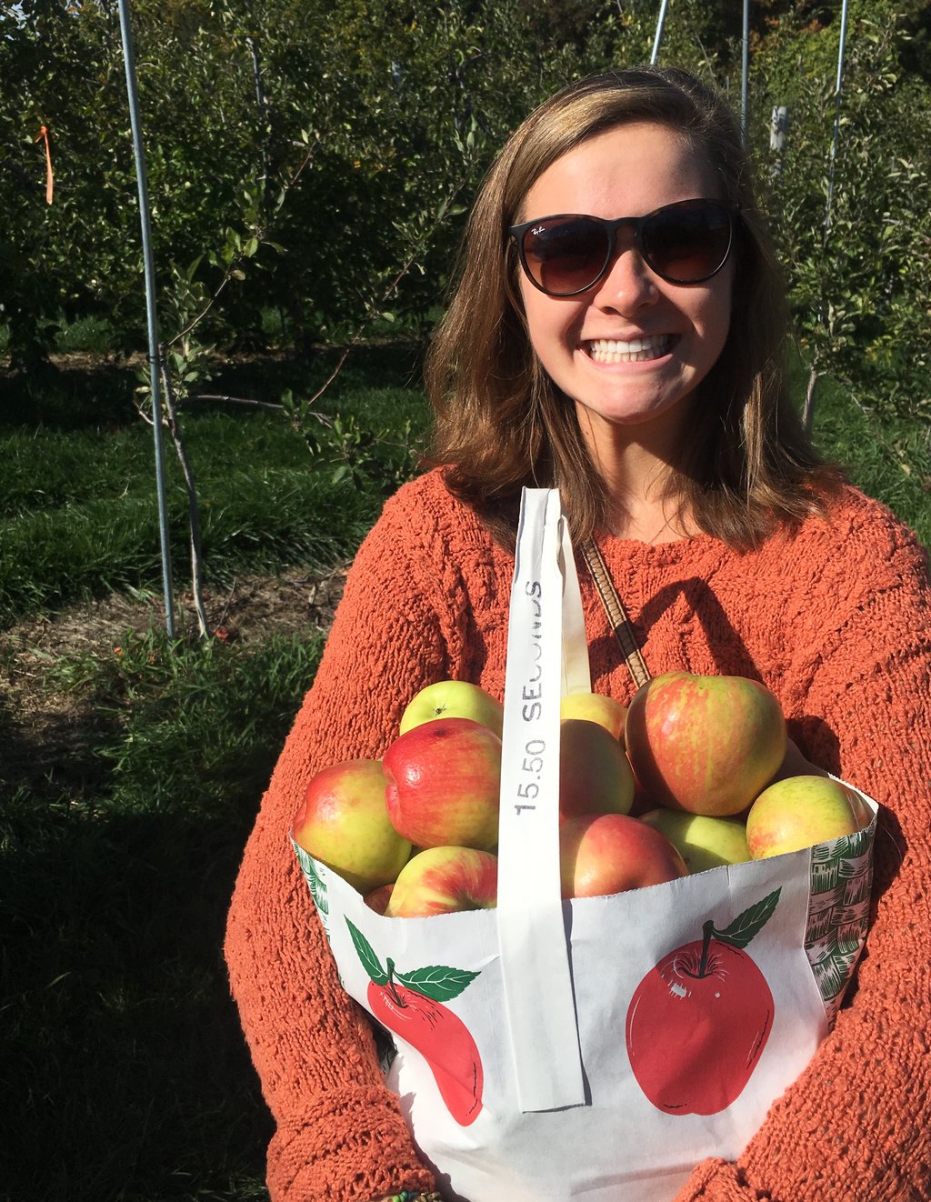 7 Reasons Why Apple Season is the Best Season