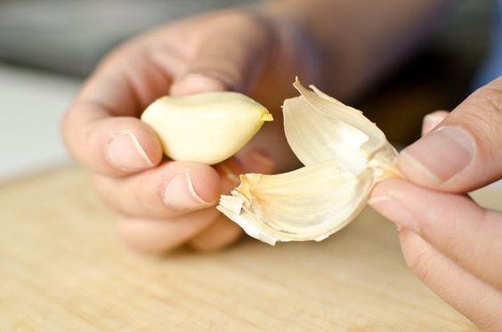 garlic, vegetable, elephant garlic, condiment