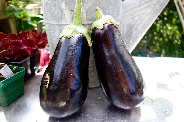 10 Fruits Mistaken For Vegetables By Everyone You Know