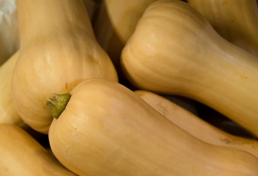 The Differences Between Acorn Squash vs Butternut Squash