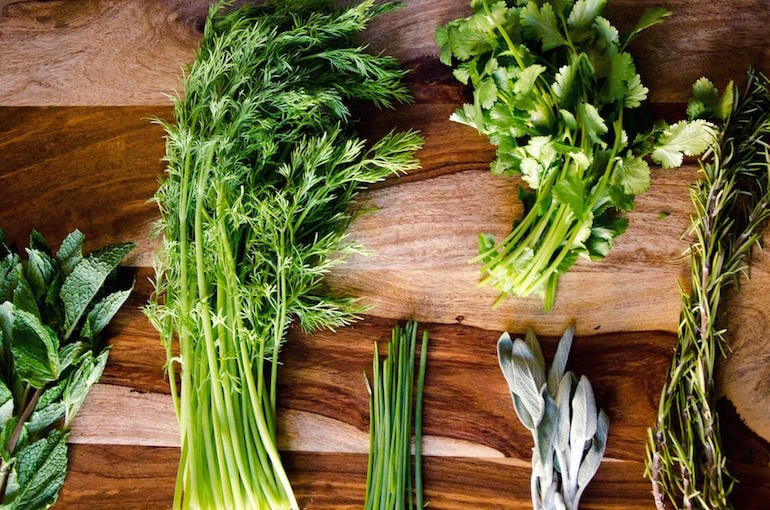 Fresh vs. Dried Basil - Tips and Amounts - TheCookful